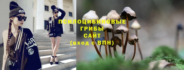 СК Арсеньев
