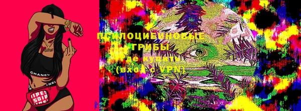 хмурый Армянск