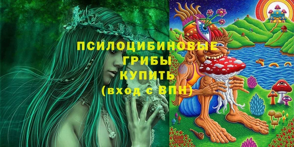 СК Арсеньев